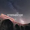 Sternentor (feat. Mission Quantum Field) - Single album lyrics, reviews, download