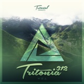 Tritonia 312 artwork