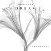 Stream & download Dream