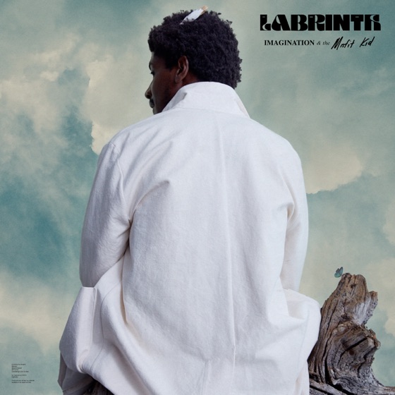 Cover artwork for The Producer