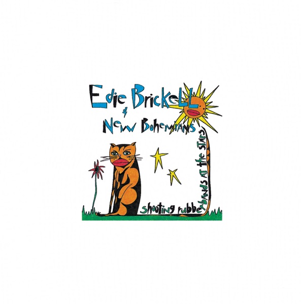 What I Am by Edie Brickell; New Bohemians, The on NetFM