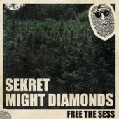 Free the Sess artwork