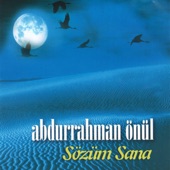 Özledim Ben Seni artwork