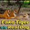 Fake Tiger vs. Real Dog artwork