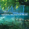 Natural Relaxation Music - Natural Relaxation Music Club