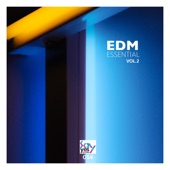 EDM Essential, Vol. 2 artwork