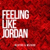 Feeling Like Jordan - Single