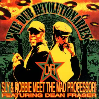 Memphis Happiness by Mad Professor & Sly & Robbie song reviws