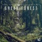 Green Forest (Kamilo Sanclemente Remix) - Max Freegrant & Slow Fish lyrics