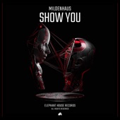 Show You (Extended Mix) artwork