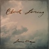 Laurie Mayer - Jagged Rain