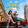 Coro de Amor - Single