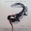 Never Felt a Love Like This - Single