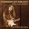 Paint the Skies Blue Forever (Tribute to Rory Gallagher)