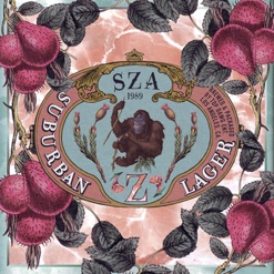 Z cover art