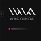 Wacoinda - Born Made Bosses Music Group LLC lyrics