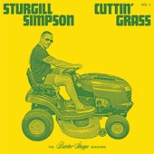 Sturgill Simpson - Sometimes Wine