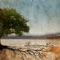 City Sleeps - William Kappen lyrics
