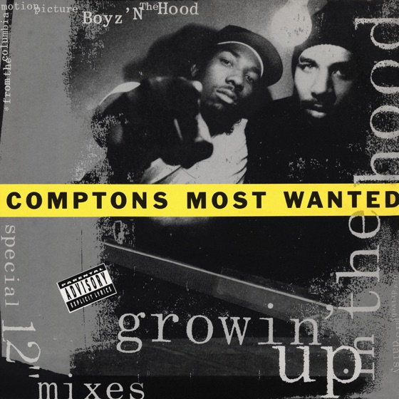 Cover artwork for Growin' Up In the Hood