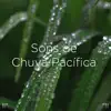 !!" Sons De Chuva Pacífica "!! album lyrics, reviews, download