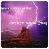 Stormy Night: Thunder & Lightning artwork