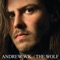 Totally Stupid - Andrew W.K. lyrics