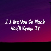 I Like You so Much You'll Know It artwork