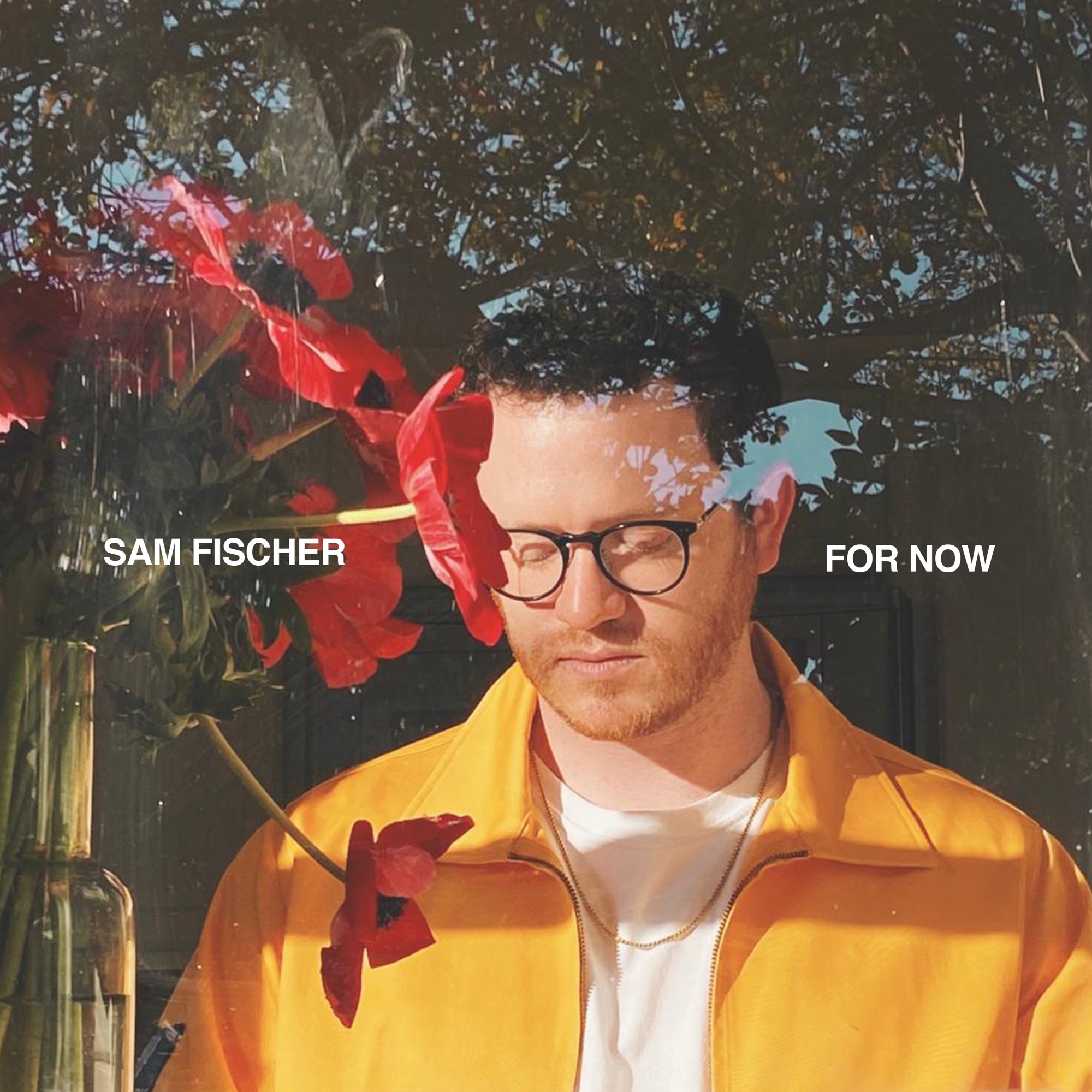 Sam Fischer - For Now - Single