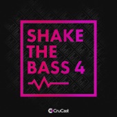 Shake the Bass 4 artwork