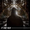 Its Not Ok - Single