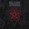 Tunnel of Love - Black Spiders lyrics