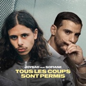 Tous les coups sont permis artwork