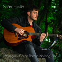 Seán Heslin - Strangers 'Cause There's Nothing Said artwork