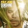 Sunshine (The Light) by Fat Joe, DJ Khaled, Amorphous iTunes Track 1