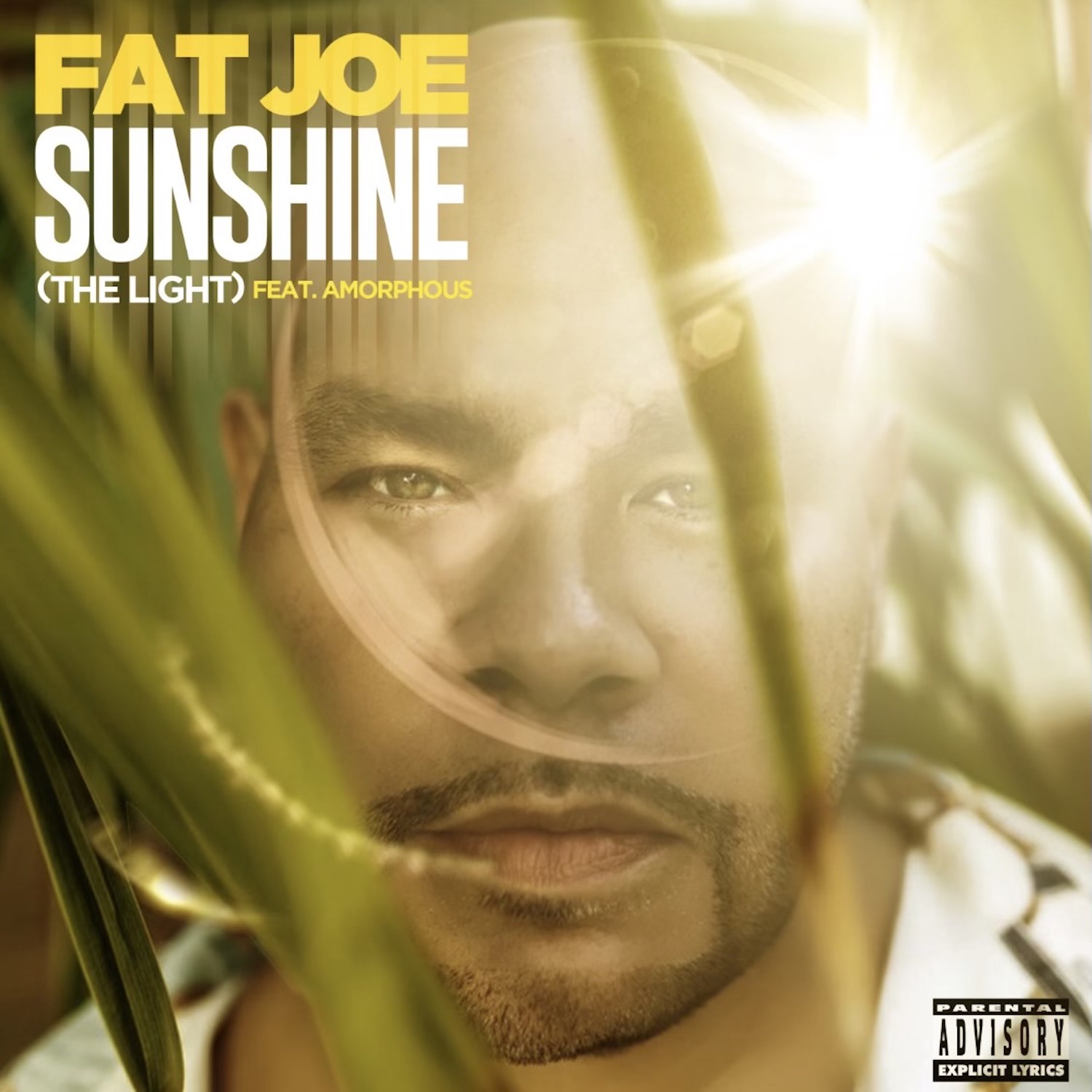 Fat Joe, DJ Khaled & Amorphous - Sunshine (The Light) - Single