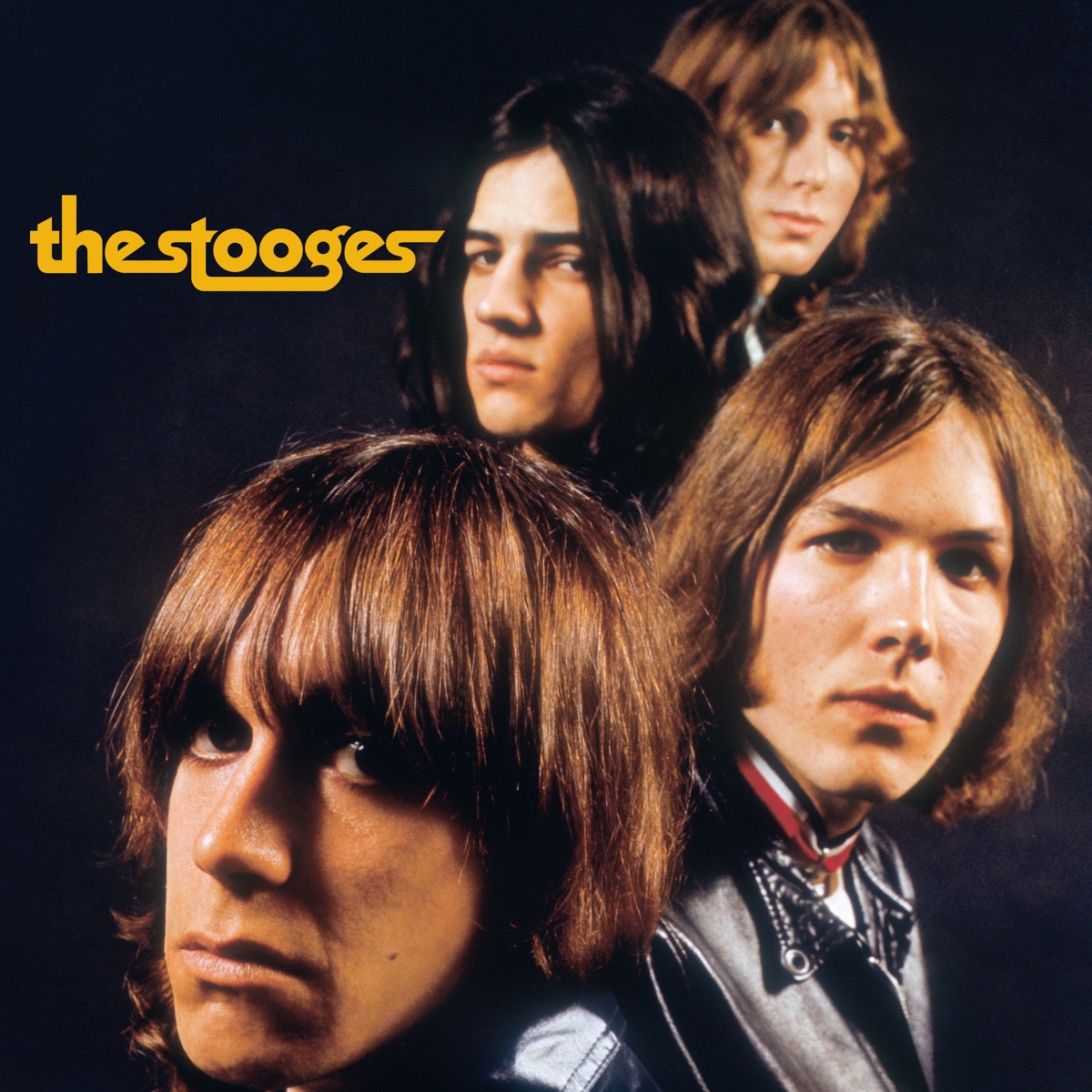 ザ ストゥージスの The Stooges をapple Musicで