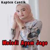 Kapten Cantik - Melodi Ayam Jago
