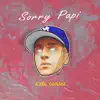 Sorry Papi (Remix) song lyrics