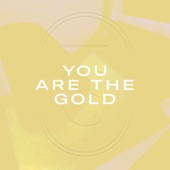 Terrible Sons - You Are the Gold