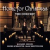 Home for Christmas, The Concert