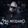 Carin Leon - Mal Necesario