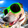 Who's Phone Is Ringing (Whose Mine, It's Mine Who Let the Dogs out Impractical Jokers Ringtone 2019) - Marimba Remix