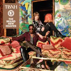 TBNH by The Brand New Heavies album reviews, ratings, credits