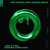 Like a Fool (feat. Stevie Neale) [Boiling Point Mix] artwork