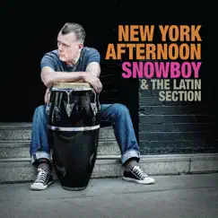New York Afternoon (feat. Marc Evans) Song Lyrics