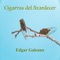 Guitarras y Cigarras - Edgar Galeano lyrics