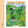Jungles Of Borneo