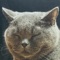 Crab & Cat - Ore Mori Kaeru lyrics