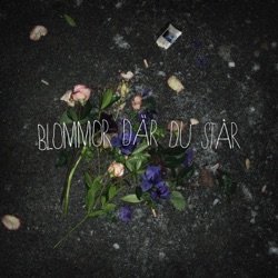 GAMMAL - Blommor där du står