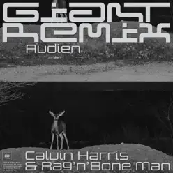 Giant (Audien Extended Remix) - Single - Calvin Harris